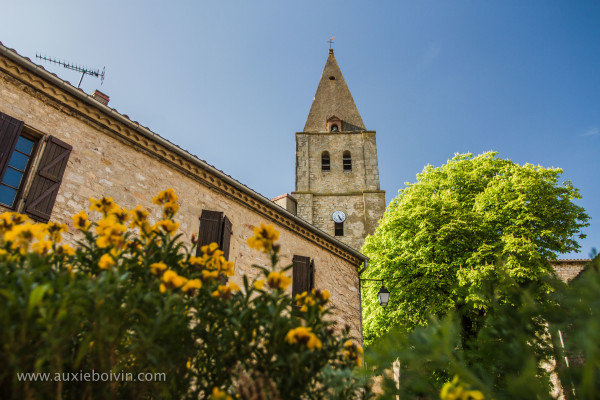 Puycelsi église