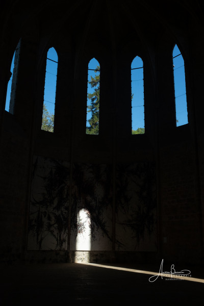 Hantaï @ Abbaye de Beaulieu © Auxie Boivin-27