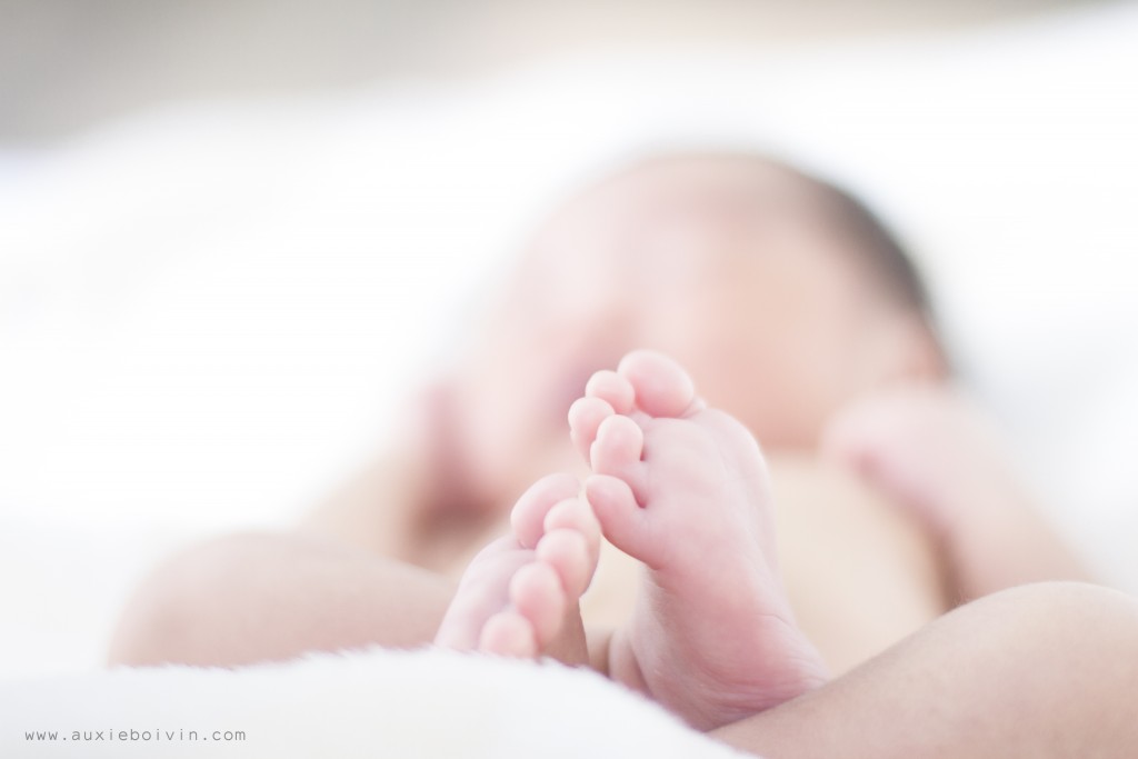 Portrait bébé artistique Tarn-et-Garonne - Auxie Boivin
