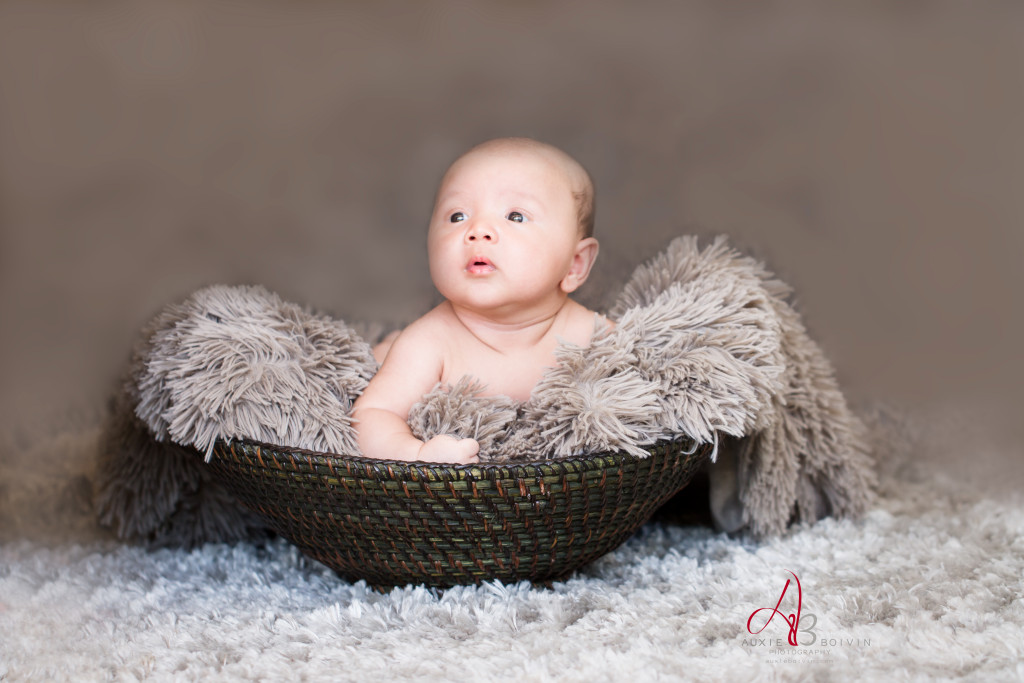 Portrait bébé artistique Tarn-et-Garonne - Auxie Boivin