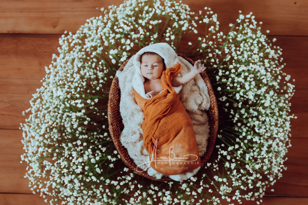 L'Éveil et la Douceur : Vos Premiers Jours avec créativité